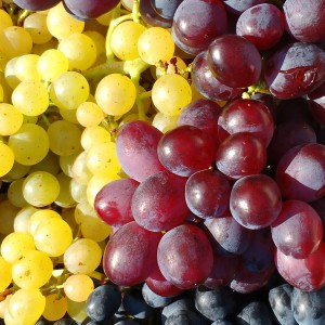 vegyes szőlő kosár